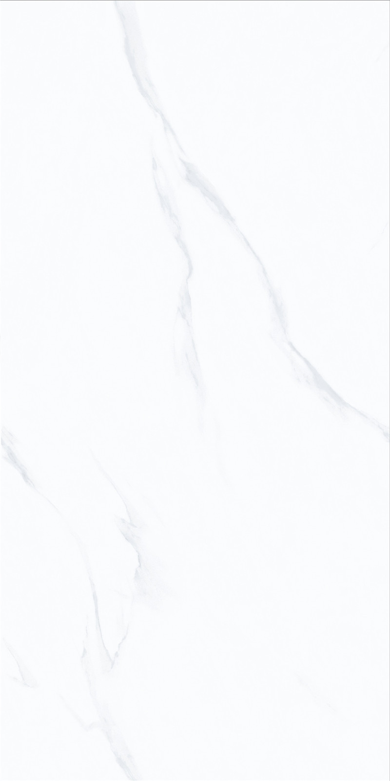 60-120FKB10055PM-4.jpg